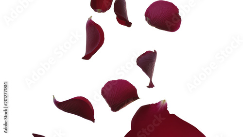 Foto Deep red rose petals falling gracefully, isolated on transparent background