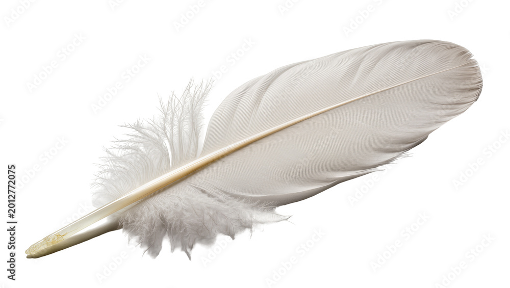 Fototapeta premium Delicate white bird feather with fluffy barbs, isolated on transparent background