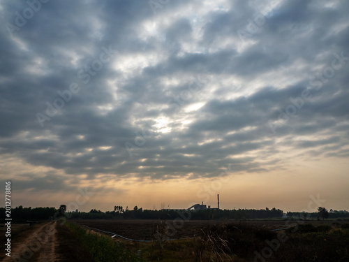 A dirt road on a field heading into an agricultural area