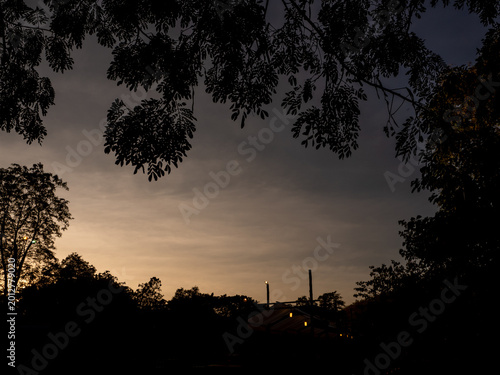 Hanging lamp at the house under the tree in the warm light of sunset