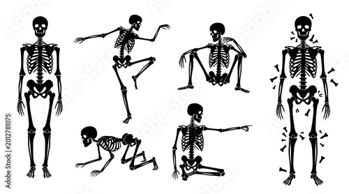 Collection of six black skeleton silhouettes in various dynamic poses and static positions on white background.