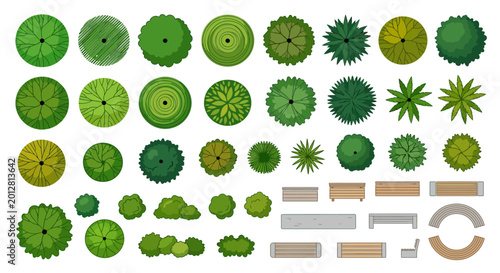 Bild auf Leinwand Trees and park elements top view vector illustration on white background
