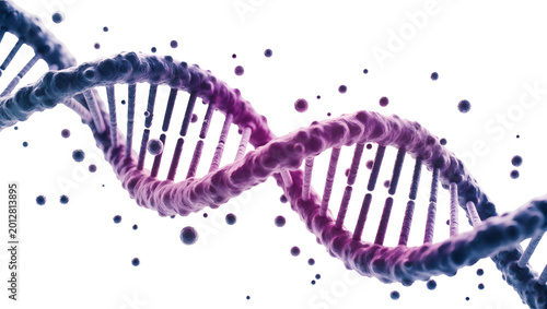 Fotografie 3D rendered DNA helix with purple and blue gradient, isolated on transparent bac