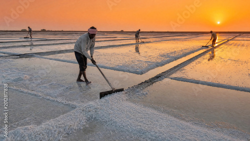 Traditional Salt Flat Harvesting at Sunset | Artisanal Salt Production & Sustainable Resource Management | Solar Salt Farming in Coastal Ecosystems
