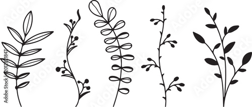 vector floral background