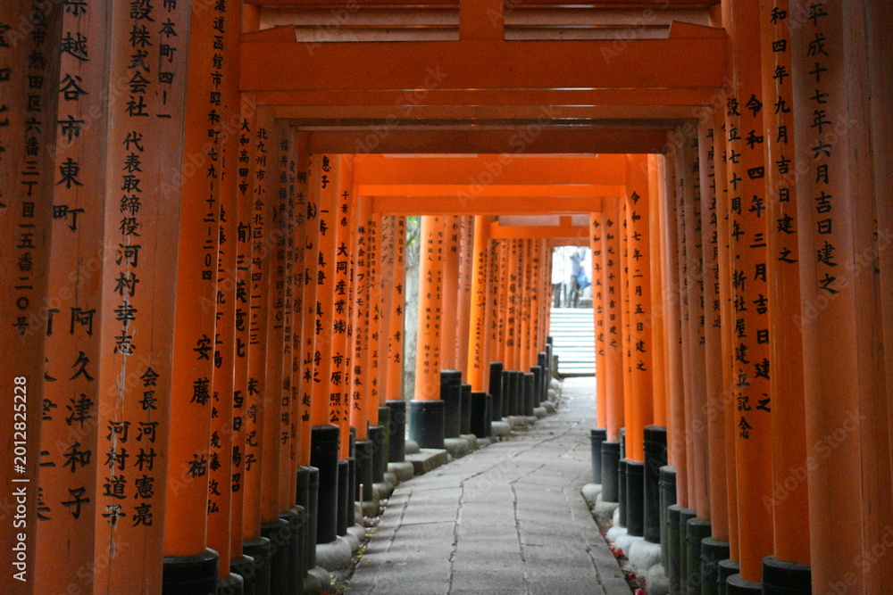 Obraz premium Fushimi inari Kyoto