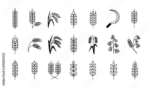 Cuadro en lienzo Wheat grain icons vector cereal agriculture harvest illustration set