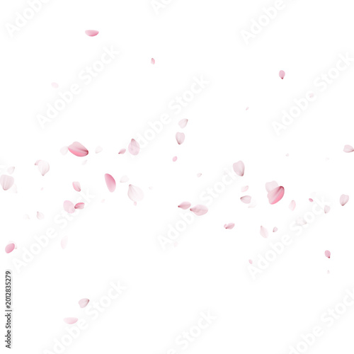 Stream of pink cherry blossom petals blowing across a light background. Dynamic falling sakura floral confetti. Springtime design template