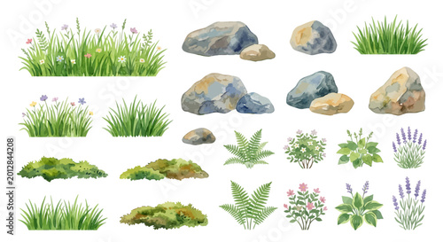 Watercolor illustration of rocks grass ferns and wildflowers on white background