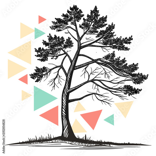 Pine tree with abstract shapes background, modern art style, white background