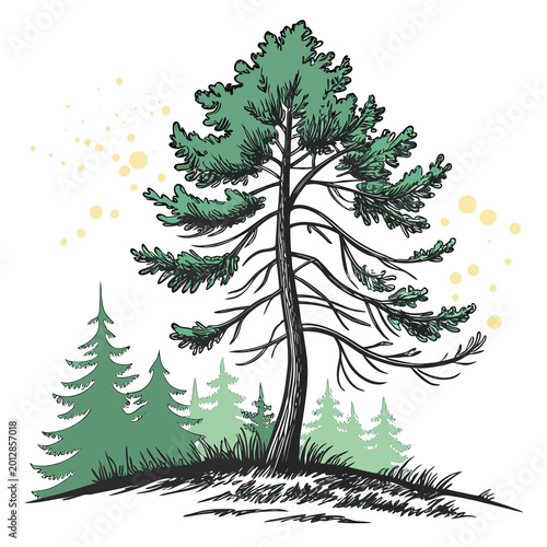 Pine tree with paint splash effect, artistic vector, white background