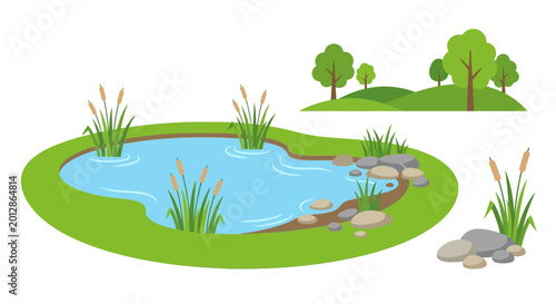 Foto Cartoon pond with trees and cattails vector illustration on white background