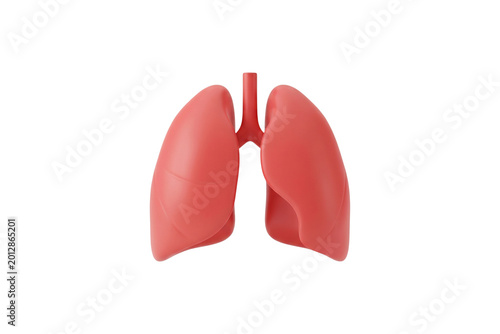 Isolated 3D Red Lungs Diagram on White Background – Medical Respiratory Anatomy, Mockup Style Healthcare and Disease Awareness