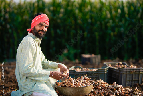 Photography young indian farmer working at turmeric field