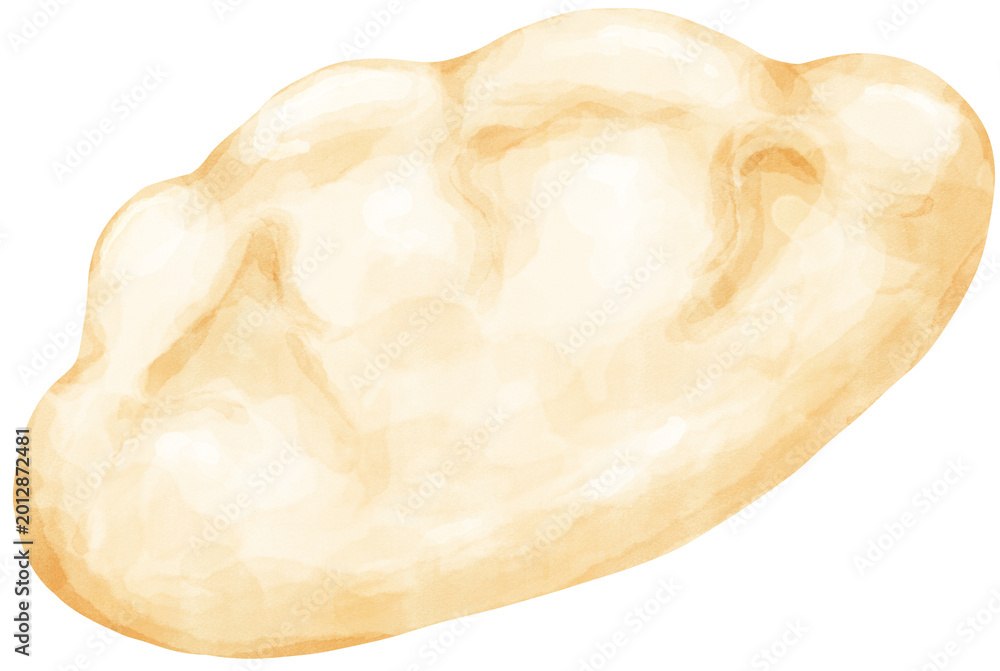 Obraz premium Dumpling watercolor