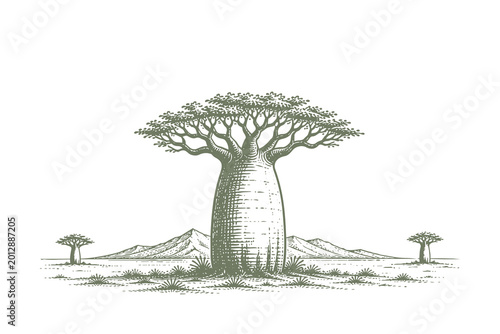 Canvas Print Grand Baobab Tree with Distant Mountains in Traditional Etching Style Vector Ill