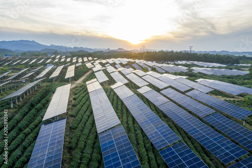 Agrivoltaics System with Solar Panels on Agricultural Land in Rural China