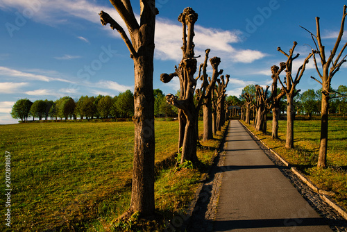 Herrnhut, Oberlausitz, Sachsen, Gottesacker