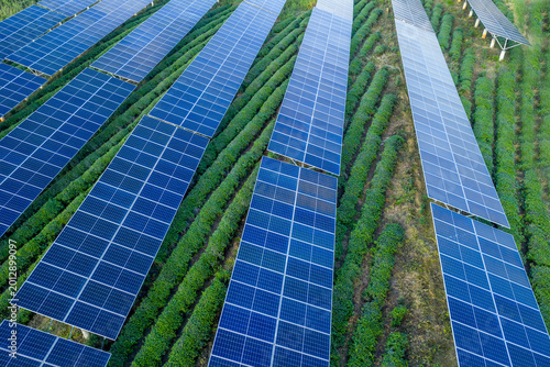 Agrivoltaics System with Solar Panels on Agricultural Land in Rural China