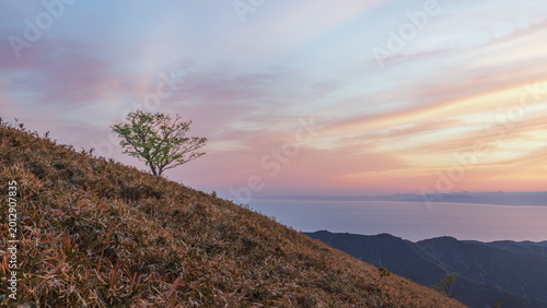 静岡県伊豆市達磨山の夕景（夕景、2026年5月）