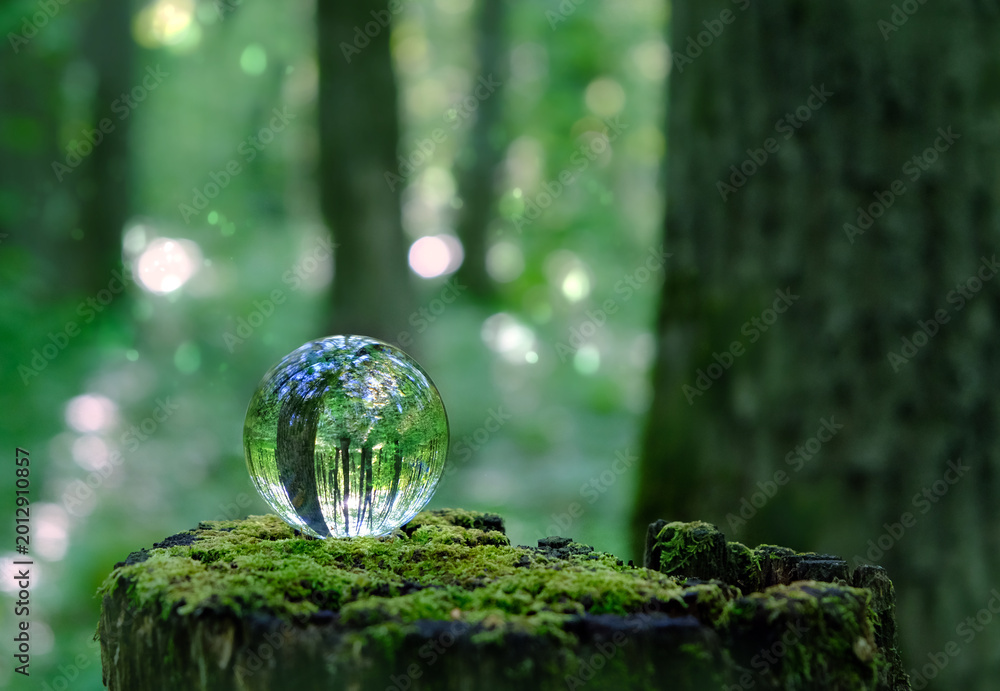 Obraz premium crystal ball close up on mossy tree stump in forest, abstract nature background. Fortune teller, magic prediction crystal ball for meditation, relax. Witchcraft, esoteric ritual for summoning spirits