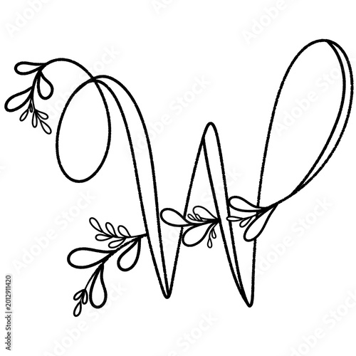 butterfly on a white background
