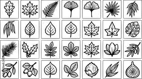 Fotografía Botanical Nature Black  White Line Art Leaves Vector Icons Set