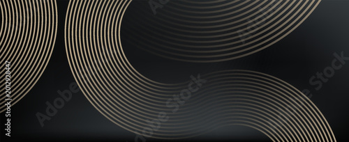 Bild auf Leinwand Abstract Futuristic Dark Carbon Background with Elegant Gold Geometric Curves and Metallic Liquid Lines