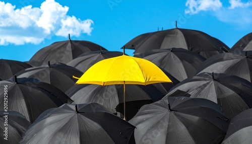 black and yellow umbrella