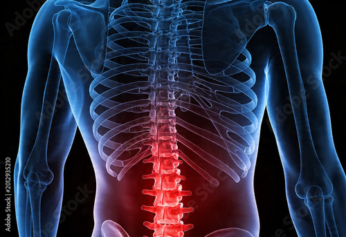 Digital illustration of human anatomy showing lower back pain inflammation and ache in adult person's spine.