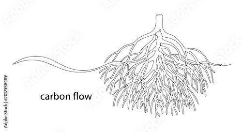 Schilderij op canvas Carbon Cycle Diagram: Plant Roots and Soil Ecosystem Illustration