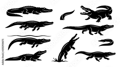 Schilderij op canvas Wild crocodile silhouette vector set action poses animal illustration pack