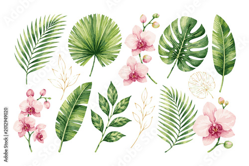 Watercolor Tropical Leaves and Orchid Flowers Set.