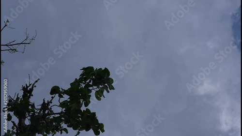 Cloudy Sky Over Greenery in Bhimtal
