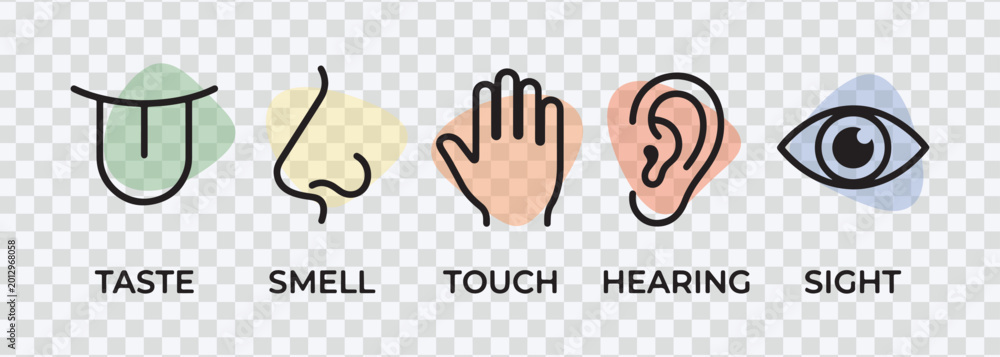 Fototapeta premium Five Senses Icons Illustration