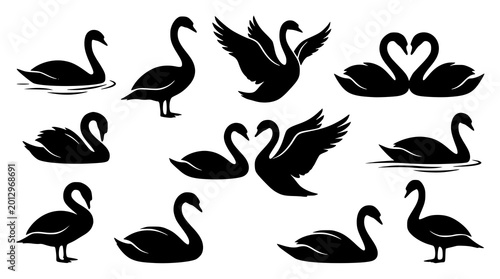 Tableau sur toile Elegant swan bird silhouette vector set graceful waterfowl illustration collecti