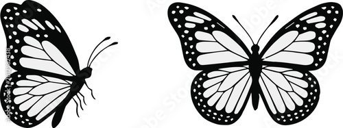 Slika na platnu butterfly silhouette side and top view vector illustration pack assets