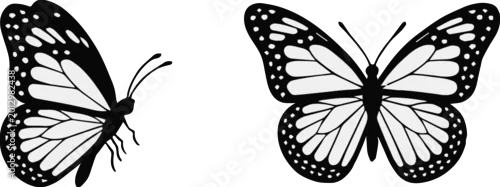 Naklejka butterfly silhouette side and top view vector illustration pack assets