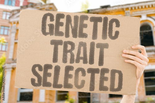 Photography "Genetic Trait Selected" Pre-implantation embryo screening for heritable characteristics enables deliberate offspring trait curation