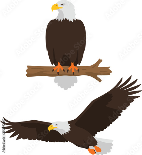 Εκτύπωση καμβά Bald eagle vector illustrations showing the bird perched on a branch and soaring