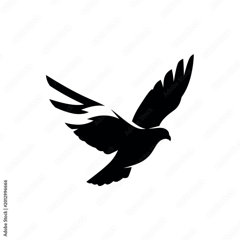 Fototapeta premium Silhouette of a Dove in Flight.