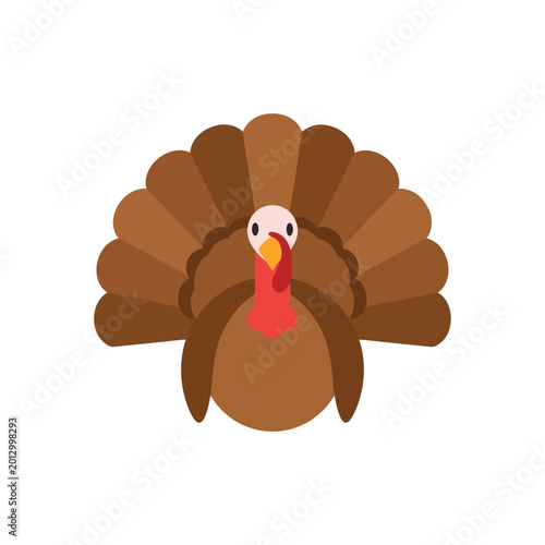 Brown Turkey Bird Cartoon Character.