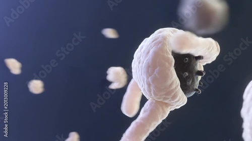 Microscopic visualization of a pathogen being neutralized by an immune response, illustrating cellular defense mechanisms and biological interactions at a molecular level