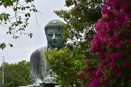 Photos Buddha in Kamakura