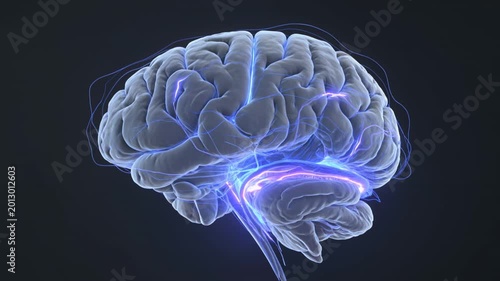 A close-up, detailed 3D render of a human brain with glowing electric blue pathways illustrating neural activity and connections