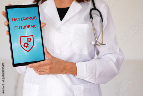 Fényképezés Hantavirus outbreak. healthcare professional showing the message