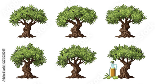 Set of six stylized olive trees with dense green foliage and dark olives including an illustration with a bottle of olive oil.