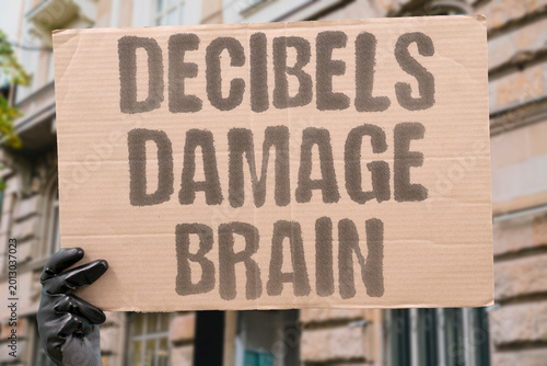 Canvastavla "Decibels Damage Brain" Neurological research links sustained noise exposure to measurable cognitive decline and memory impairment