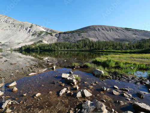 Canvas Print Conifer Forest Reflected in Mitchell Lake, Indian Peaks Wilderness, Colorado