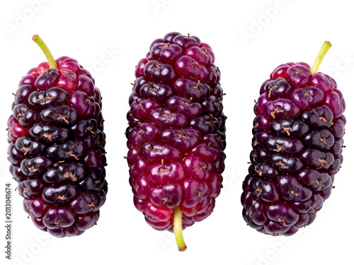 [Transparent Background PNG]Fresh ripe mulberries on white background